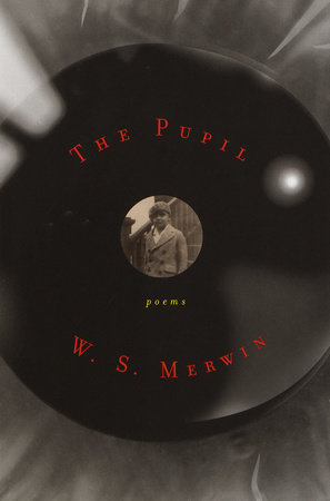 The Pupil by W. S. Merwin