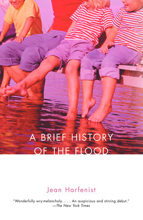 A Brief History of the Flood by Jean Harfenist
