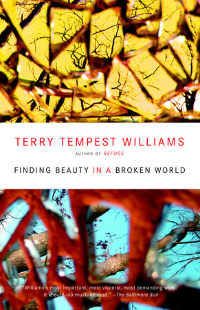 Finding Beauty in a Broken World by Terry Tempest Williams