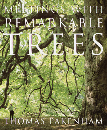 Meetings with Remarkable Trees by Thomas Pakenham