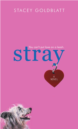 Stray by Stacey Goldblatt