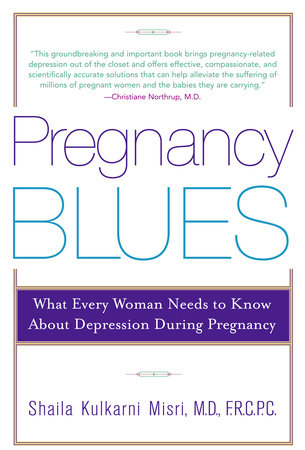 Pregnancy Blues Book Cover Picture