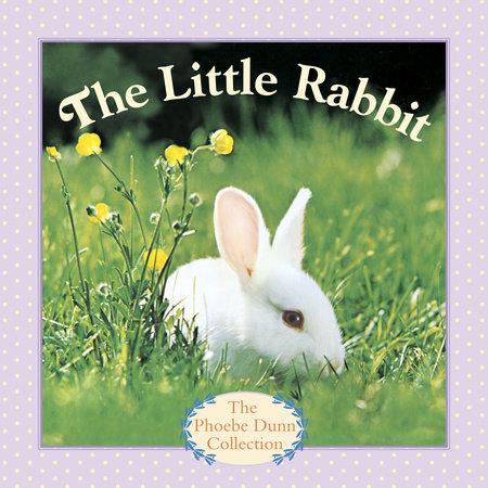 The Little Rabbit by Judy Dunn