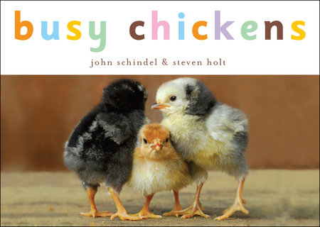 Busy Chickens by John Schindel