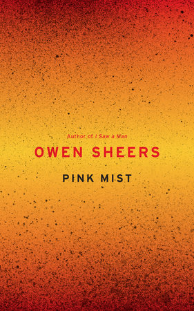 Pink Mist by Owen Sheers