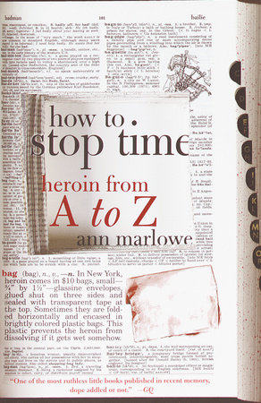 How to Stop Time by Ann Marlowe