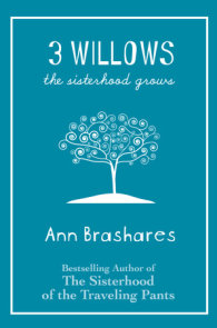 The Sisterhood of the Traveling Pants by Ann Brashares