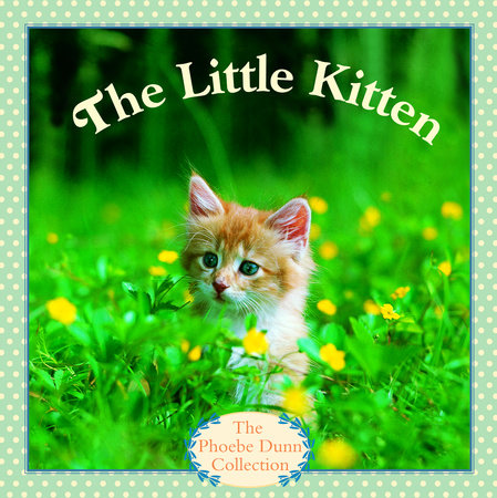 The Little Kitten by Judy Dunn