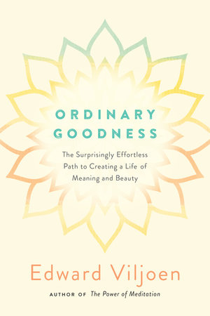 Ordinary Goodness by Mr. Edward Viljoen