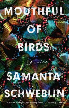 Mouthful of Birds by Samanta Schweblin