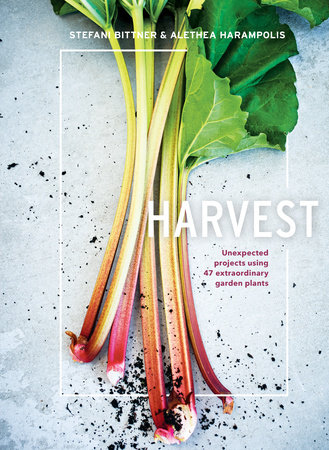 Harvest by Stefani Bittner and Alethea Harampolis