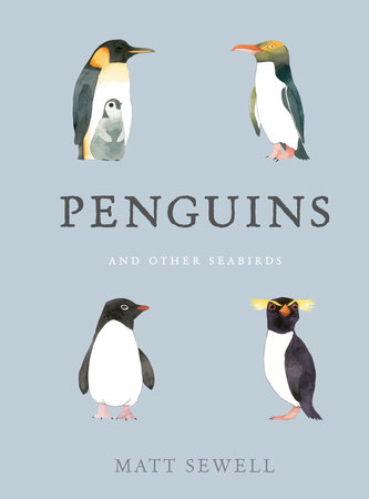 Penguins and Other Seabirds by Matt Sewell
