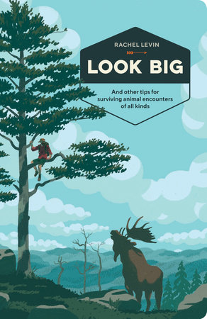 Look Big by Rachel Levin