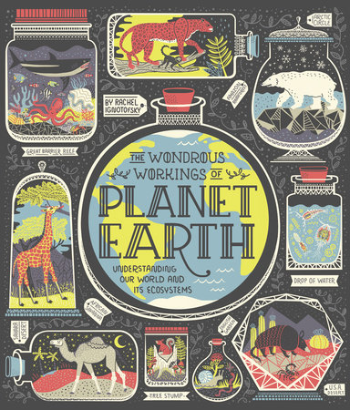 The Wondrous Workings of Planet Earth by Rachel Ignotofsky