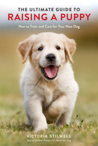 The Ultimate Guide to Raising a Puppy