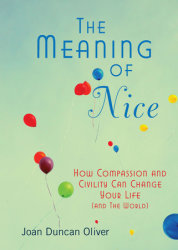 The Meaning of Nice