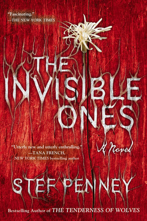 The Invisible Ones by Stef Penney