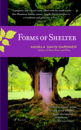 Forms of Shelter by Angela Davis-Gardner