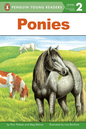 Ponies by Pam Pollack and Meg Belviso