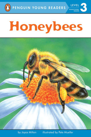 Honeybees by Joyce Milton
