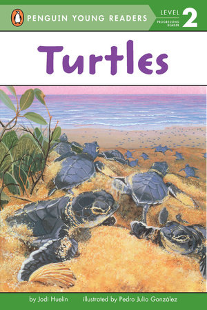 Turtles by Jodi Huelin