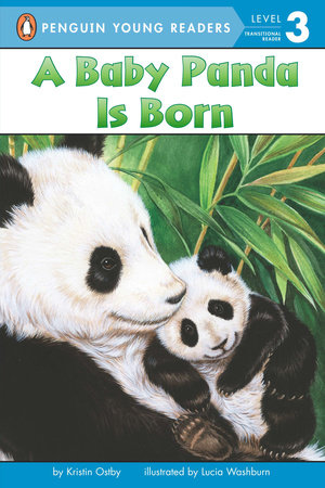 A Baby Panda Is Born by Kristin Ostby