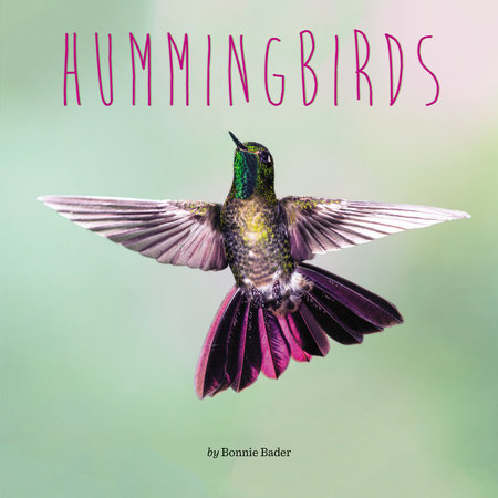 Hummingbirds by Bonnie Bader