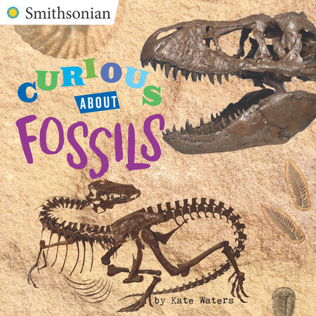 Curious About Fossils