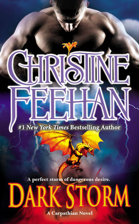 Dark Storm by Christine Feehan