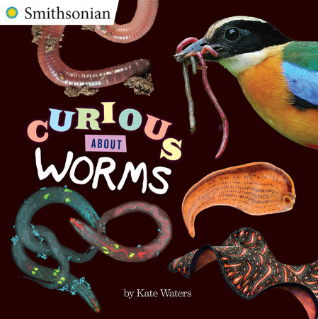 Curious About Worms by Kate Waters