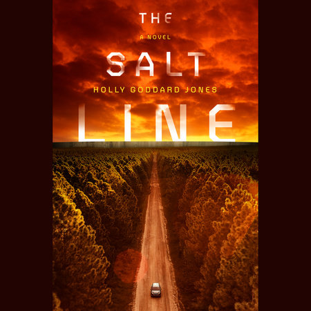 The Salt Line by Holly Goddard Jones