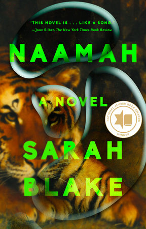 Naamah by Sarah Blake