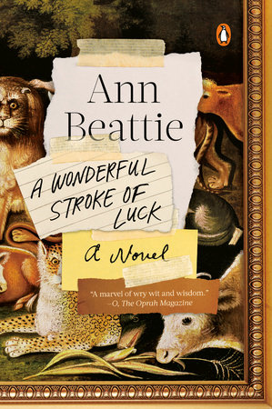 A Wonderful Stroke of Luck by Ann Beattie