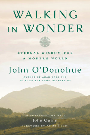 Walking in Wonder by John O'Donohue and John Quinn