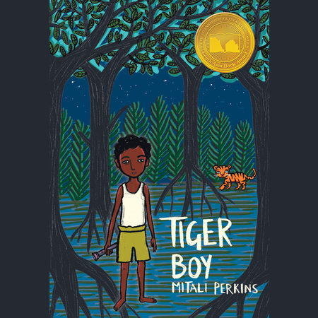 Tiger Boy by Mitali Perkins