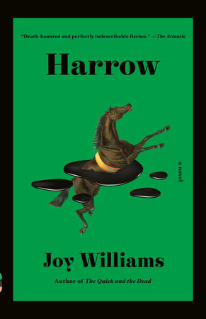 Harrow by Joy Williams