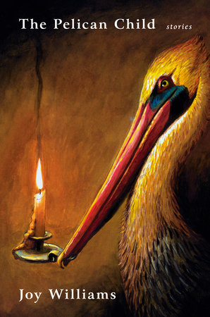 The Pelican Child by Joy Williams