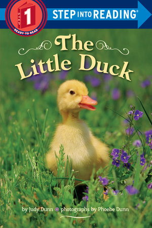 The Little Duck by Judy Dunn