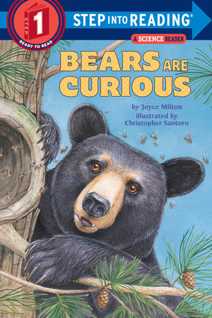 Bears Are Curious by Joyce Milton