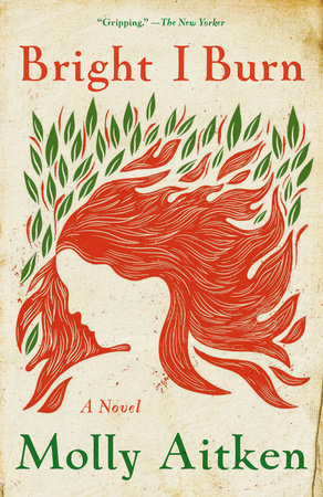 Bright I Burn by Molly Aitken