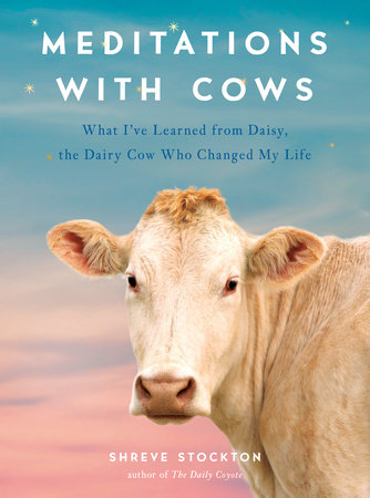 Meditations with Cows by Shreve Stockton