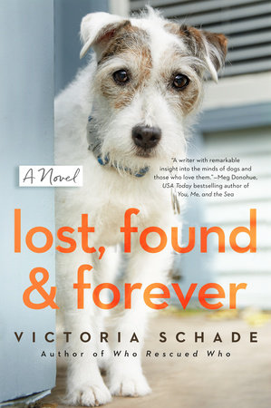 Lost, Found, and Forever by Victoria Schade