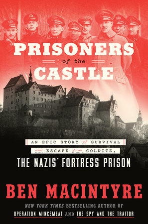 城堡的囚徒书封面图片