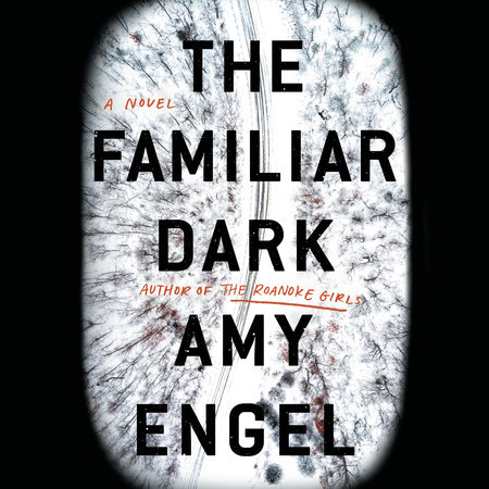 The Familiar Dark by Amy Engel