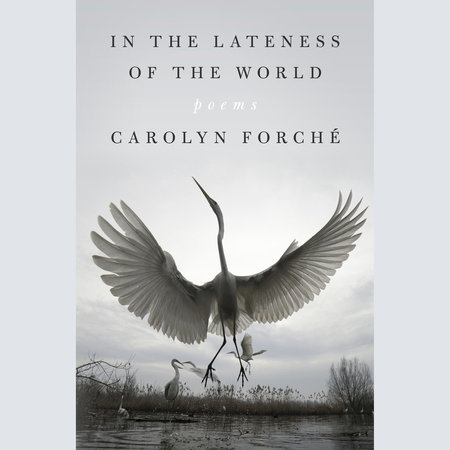 In the Lateness of the World by Carolyn Forché