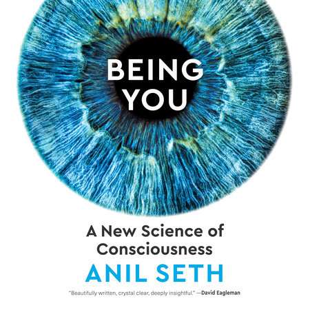 Being You by Anil Seth