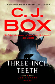 Shadows Reel: Box, C. J.: 9780593331293: Books 