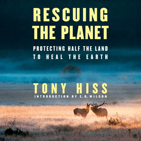 Rescuing the Planet by Tony Hiss