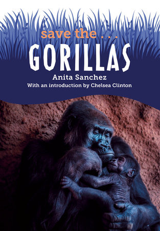 Save the...Gorillas by Anita Sanchez and Chelsea Clinton