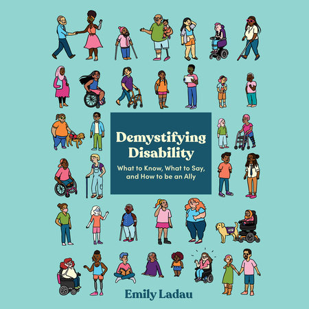 Demystifying Disability by Emily Ladau